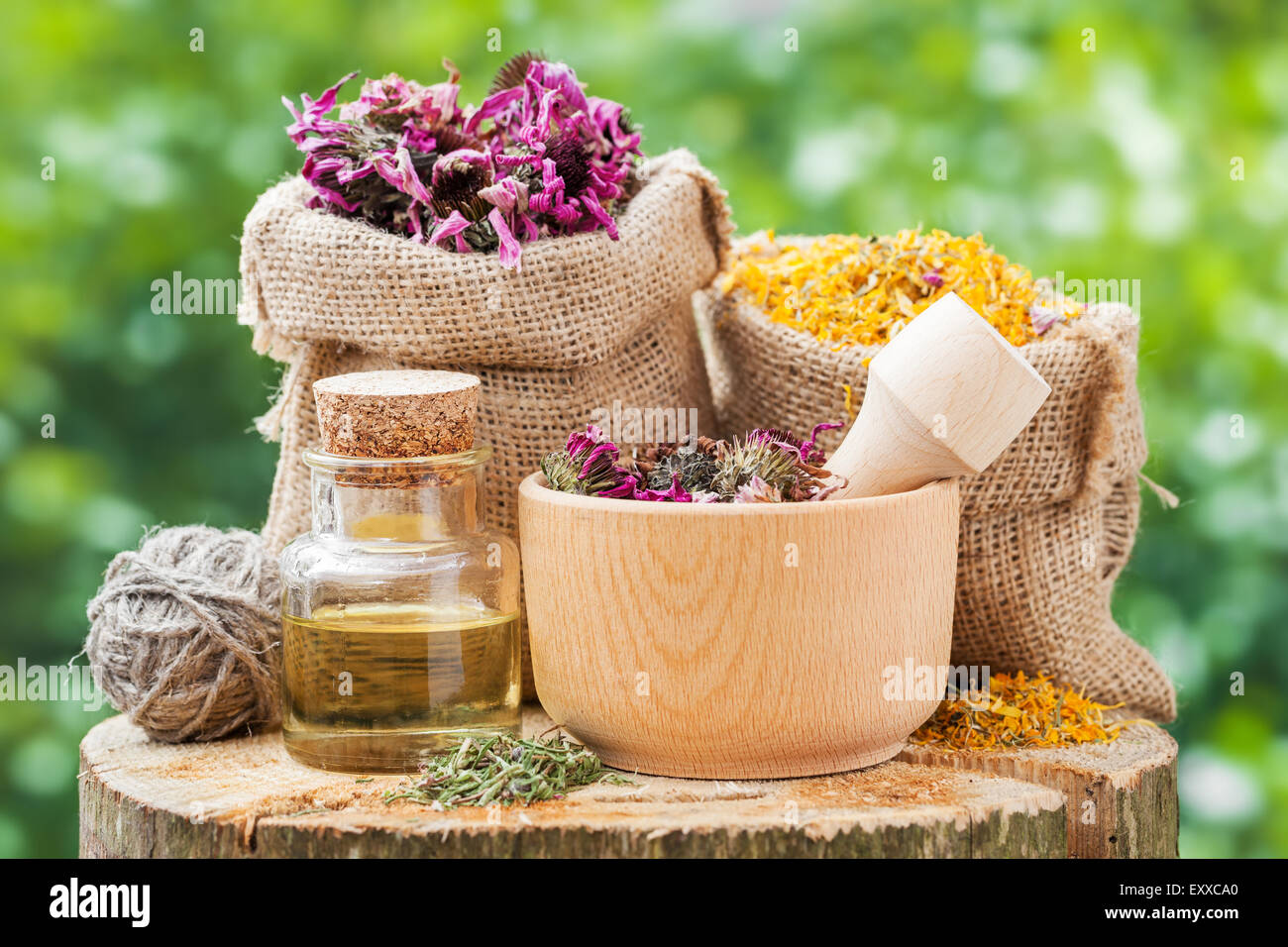 Erbe curative in sacchetti di Hesse, mortaio di legno con coneflowers e olio essenziale sul moncone in legno all'esterno, la medicina di erbe. Foto Stock