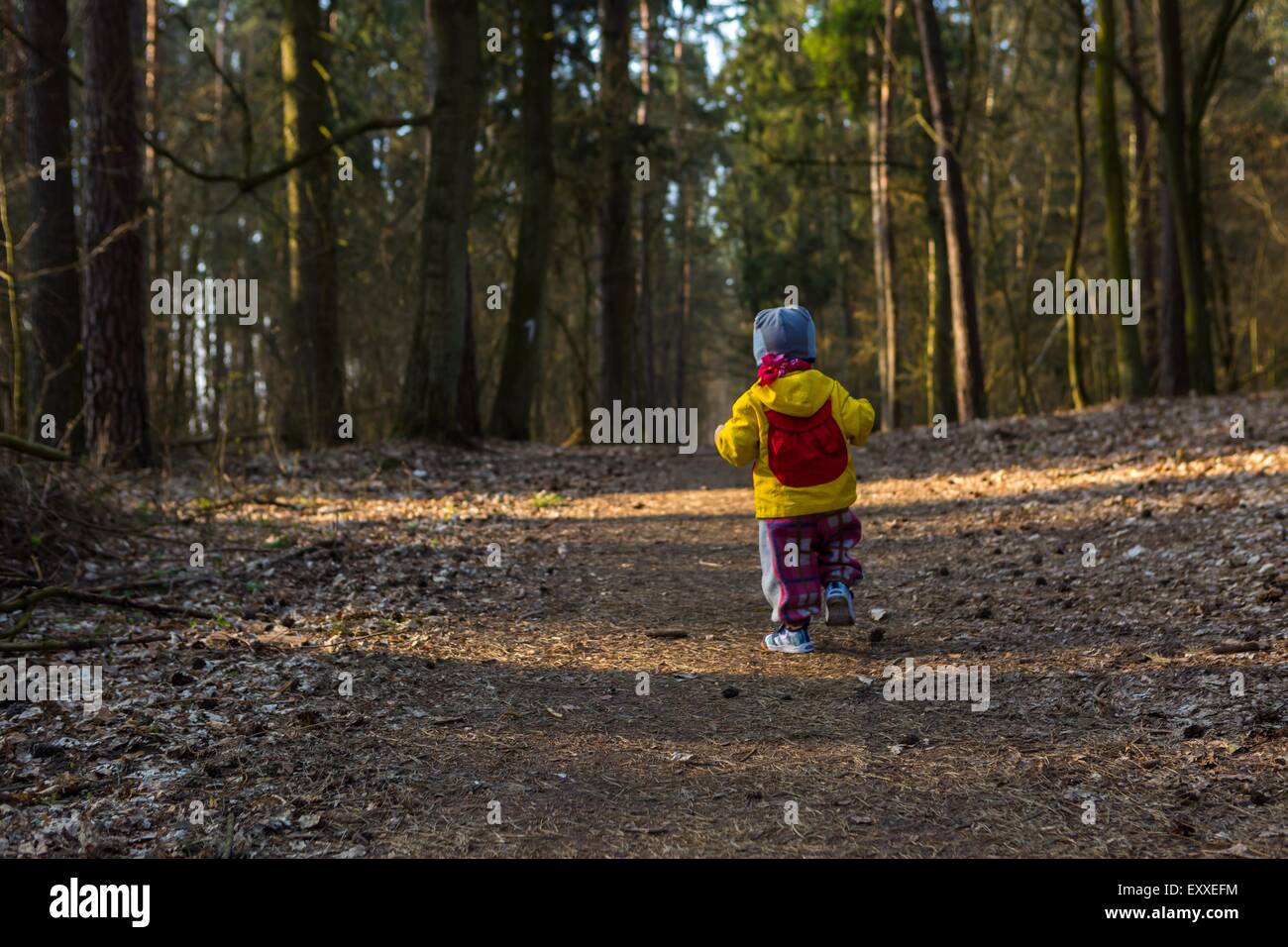 Bambini Bimbi a piedi dal percorso nella foresta. Primavera paesaggio forestale con piccolo bambino di camminare da solo sul percorso. Foto Stock
