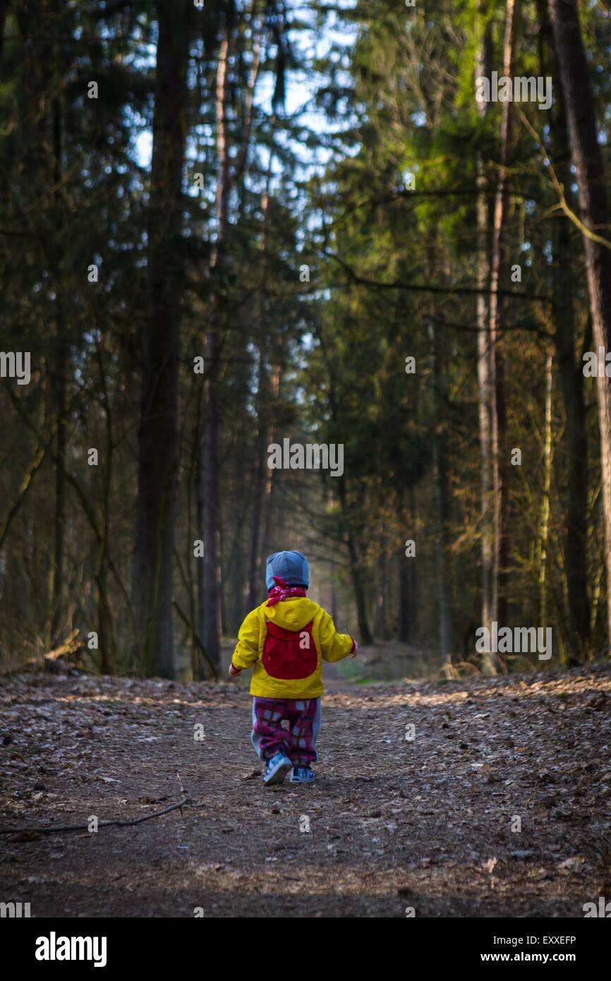 Bambini Bimbi a piedi dal percorso nella foresta. Primavera paesaggio forestale con piccolo bambino di camminare da solo sul percorso. Foto Stock