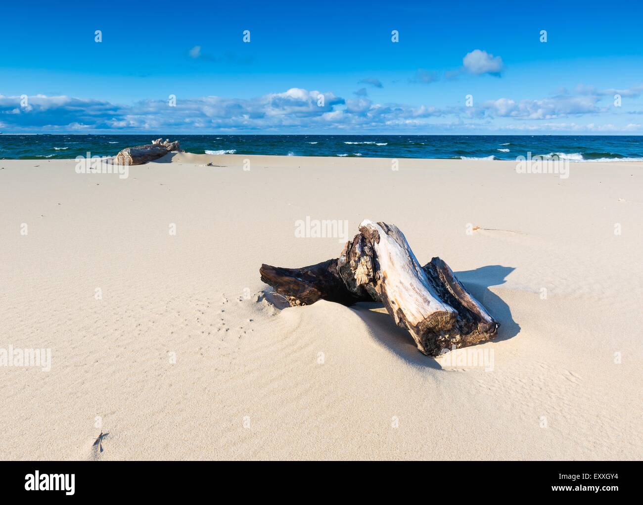 Splendido Mare di Sabbia a riva con driftwood. Mar baltico. Una lunga esposizione foto. Foto Stock