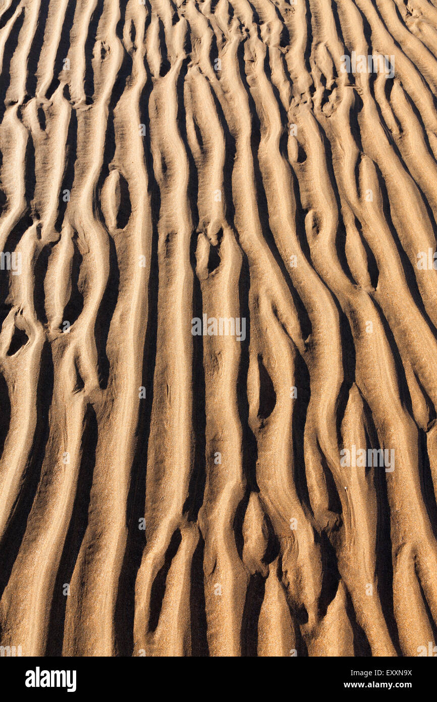 Modello di sabbia durante la bassa marea Foto Stock