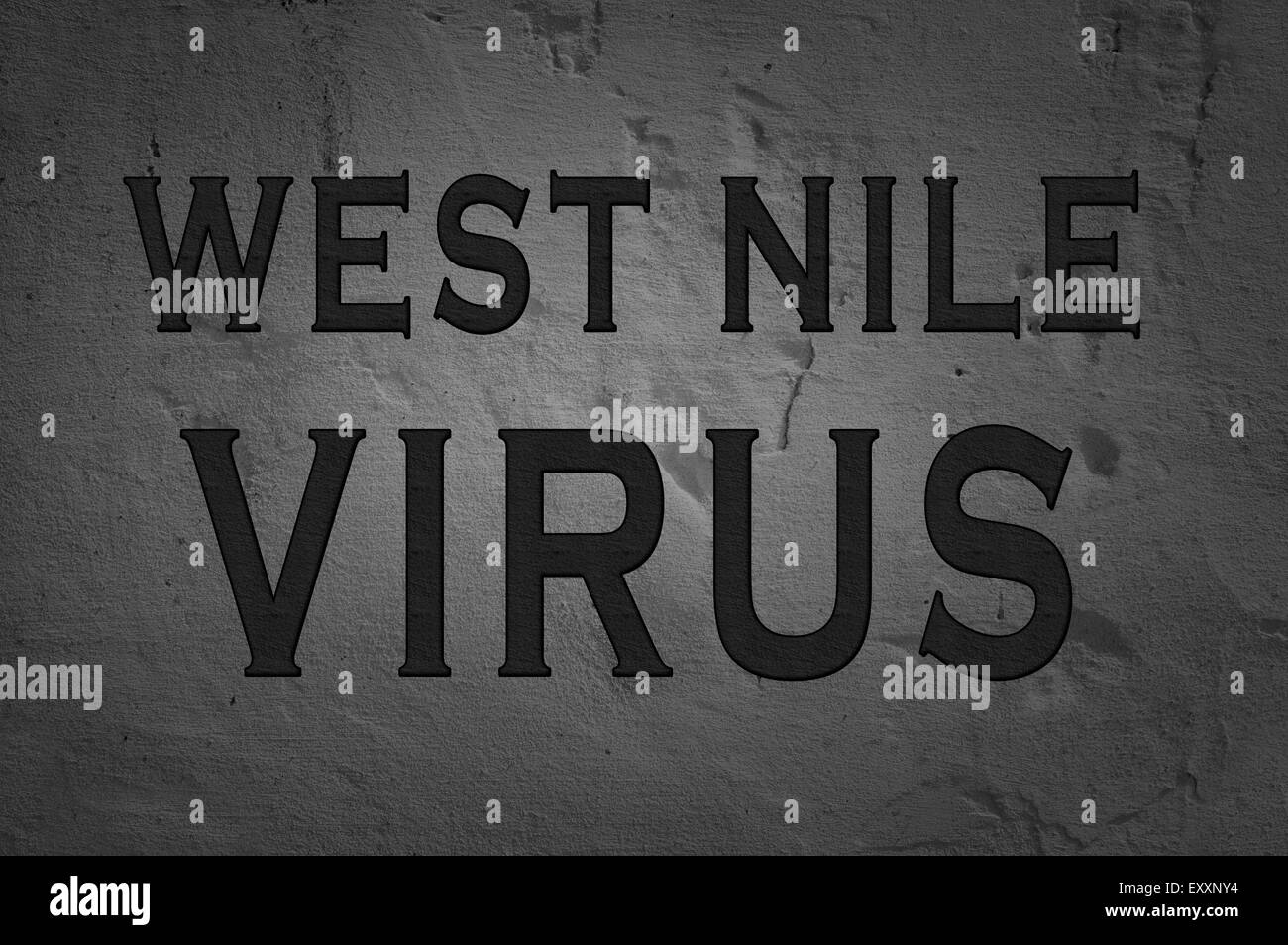 Word West Nile virus isolato su sfondo scuro Foto Stock