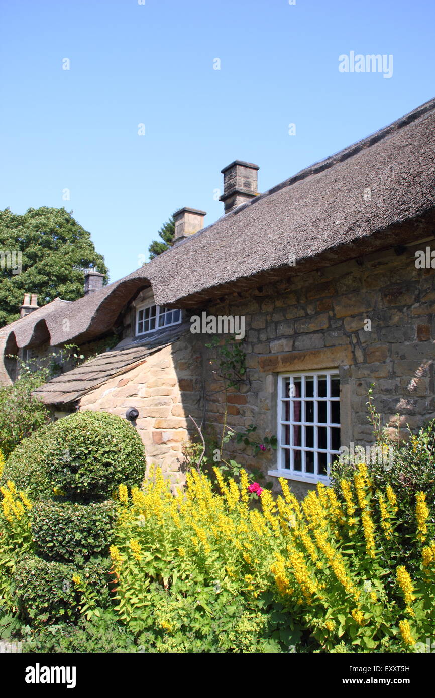 Un tradizionale inglese cottage con tetto in paglia in Baslow village il Parco Nazionale di Peak District, Derbyshire, Regno Unito Foto Stock