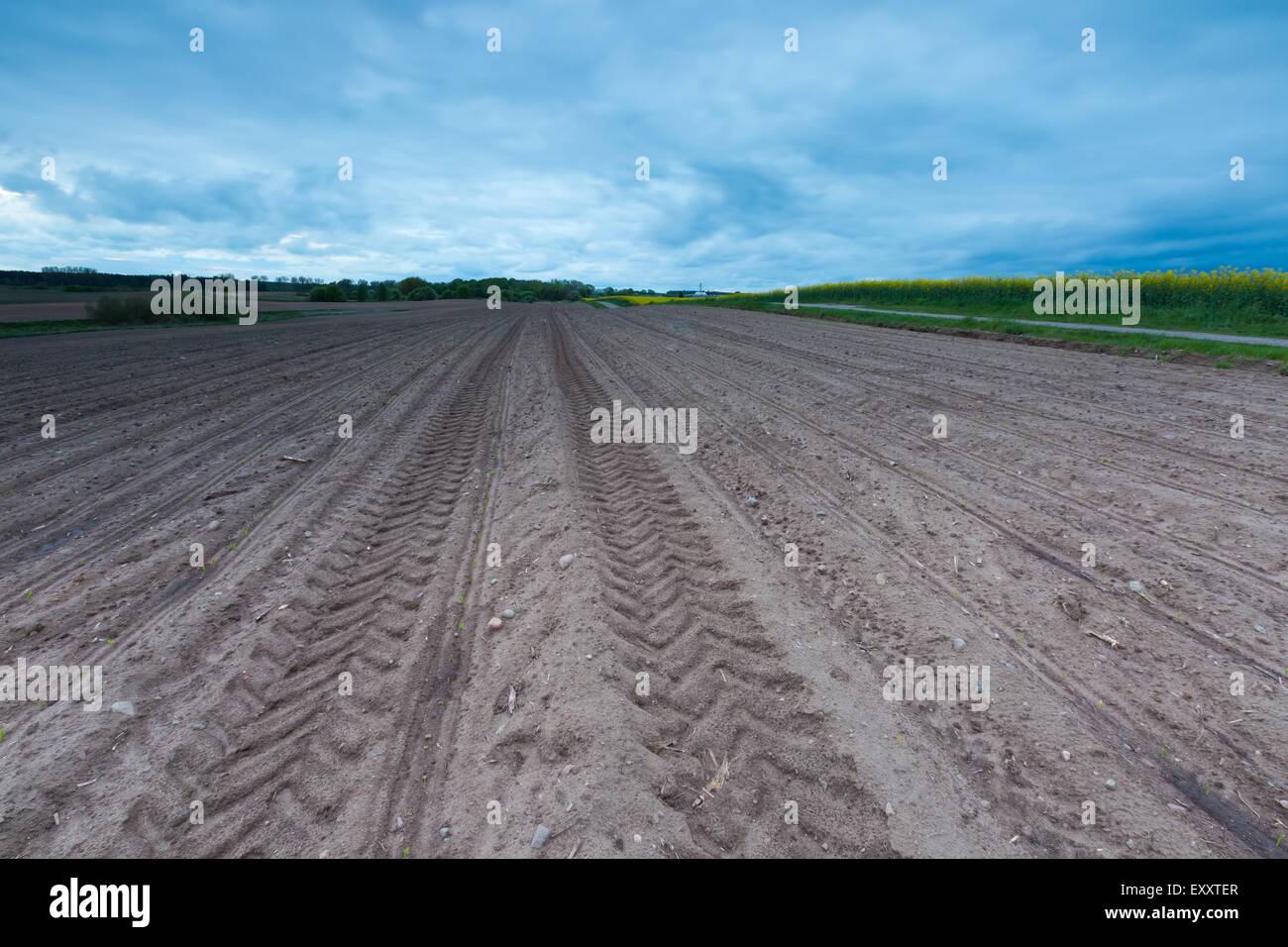 Campo Arato paesaggio nella calma campagna polacca. Paesaggio primaverile Foto Stock