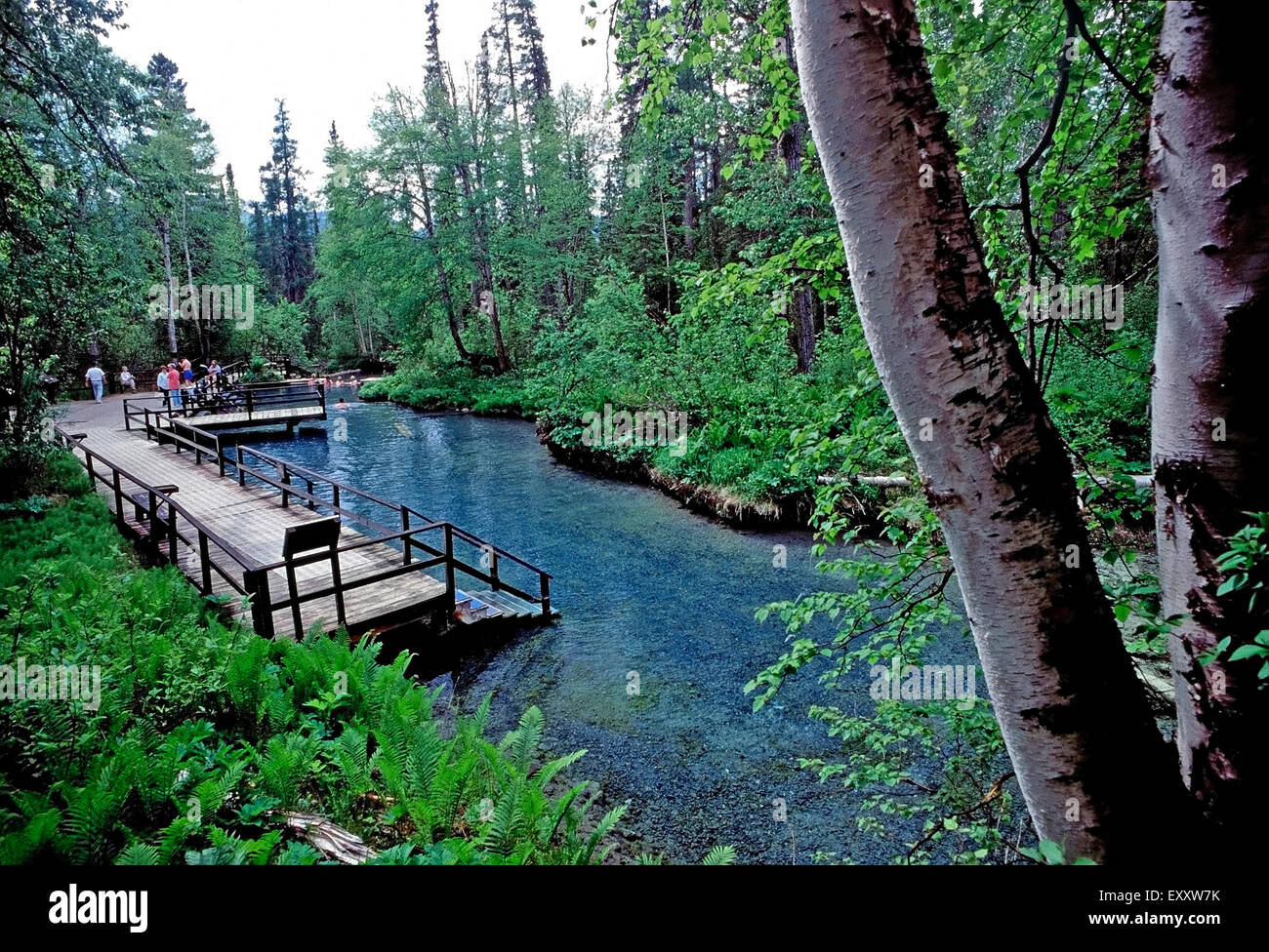 Liard Hot Springs,Alaska Autostrada,BritishColumbia Foto Stock