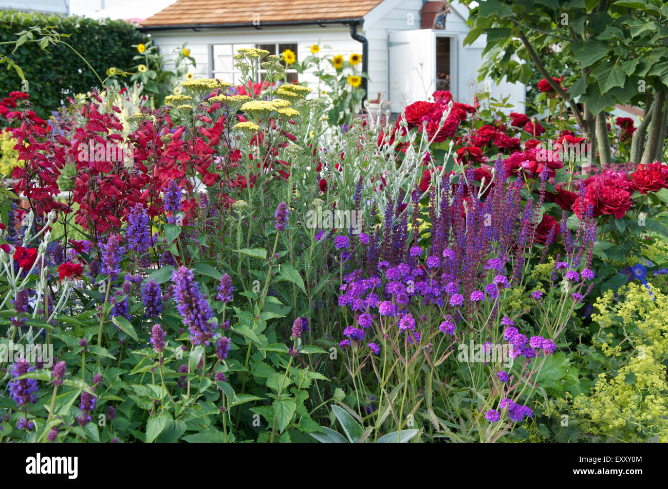 La semina in 'appena il pensionamento : un giardino per ogni pensionato' ad RHS Hampton Court Palace Flower Show 2015 Foto Stock
