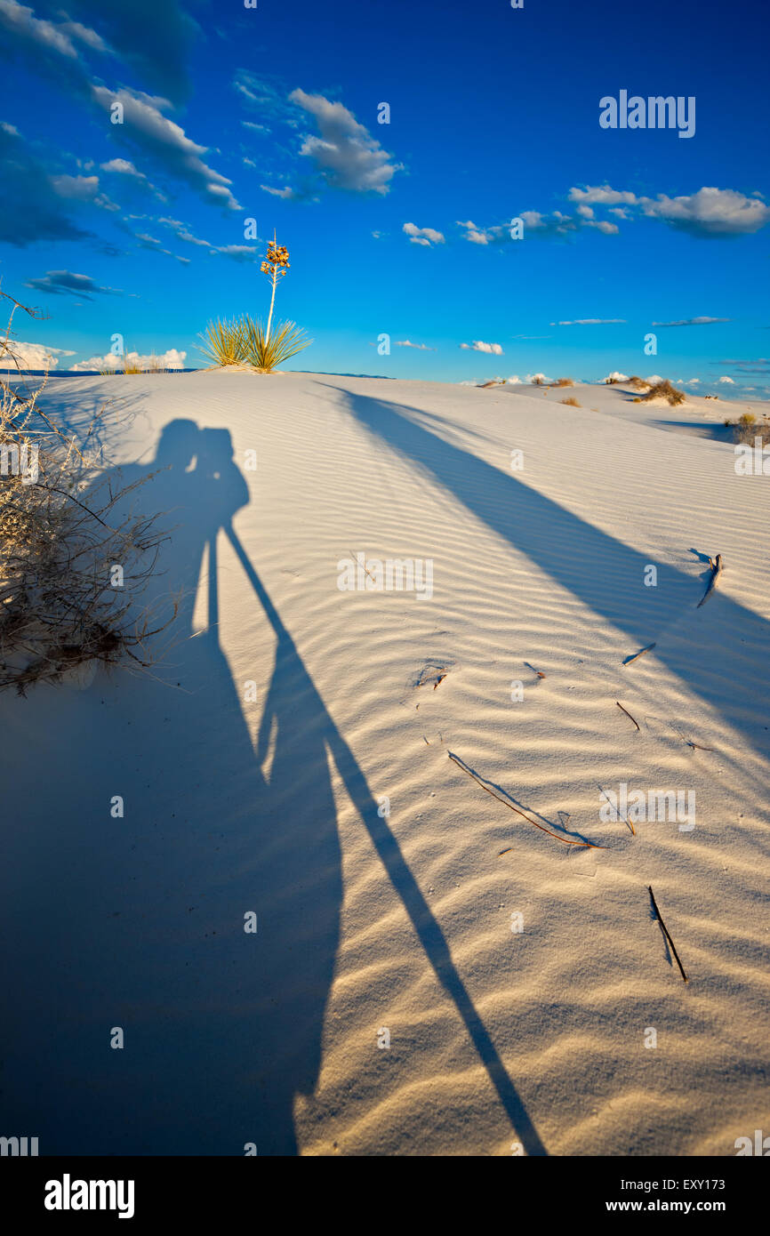 ,White Sands National Monument, Nuovo Messico, STATI UNITI D'AMERICA Foto Stock