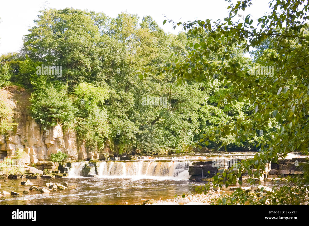 Fiume Swale cascata a Richmond, North Yorkshire Foto Stock
