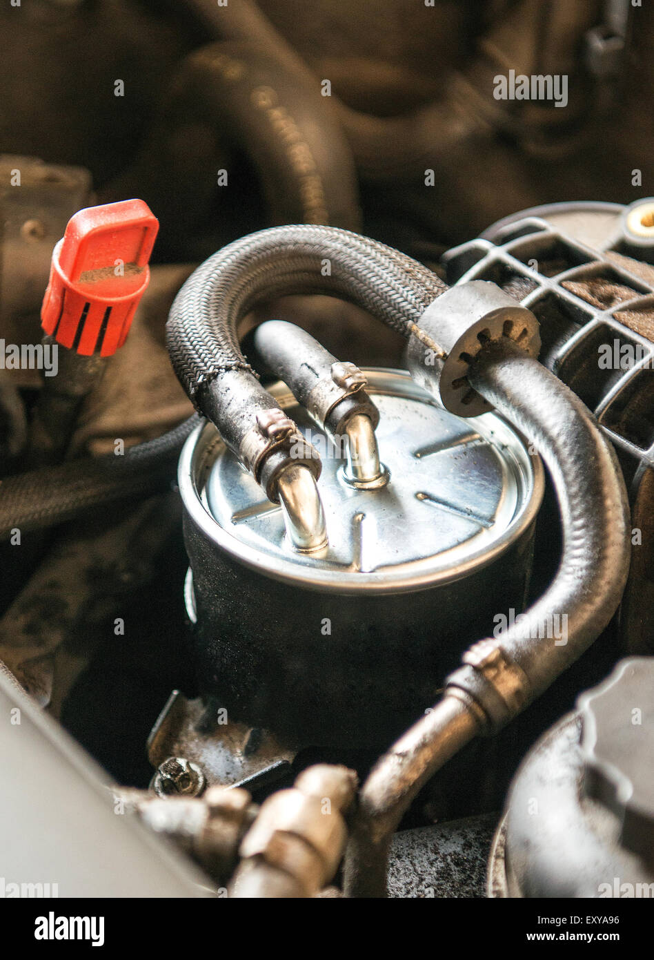Nuovo filtro del gasolio sul motore di una macchina Foto Stock
