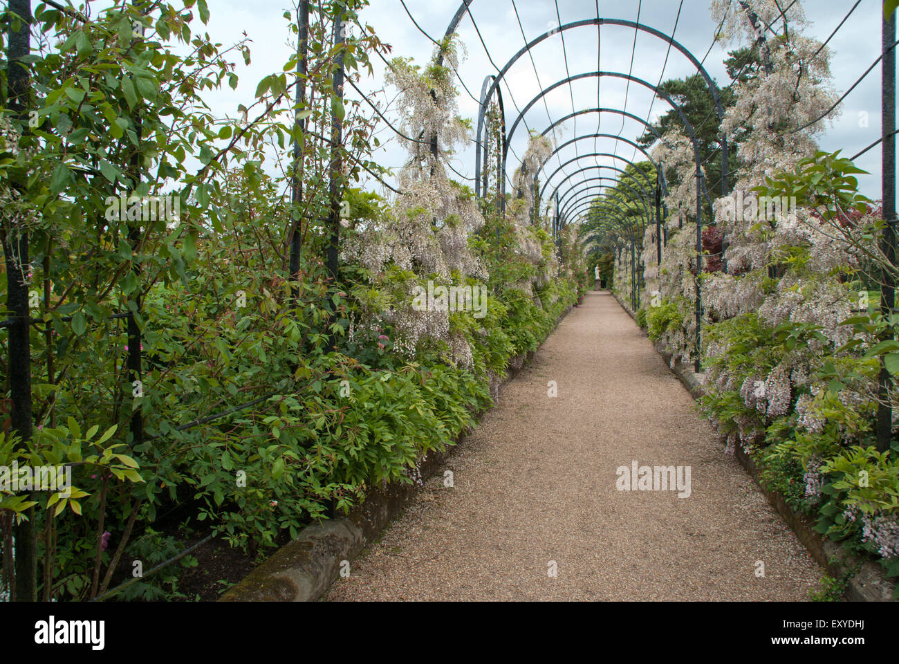 Trentham Gardens trellis a piedi Foto Stock