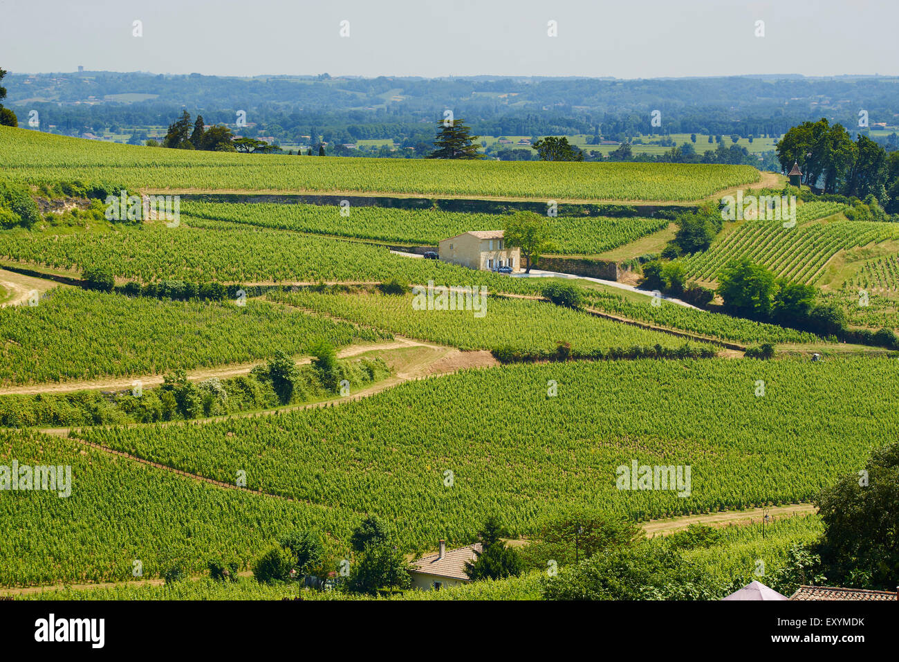 Saint Emilion, Gironde, Aquitania, in Francia, in Europa Foto Stock