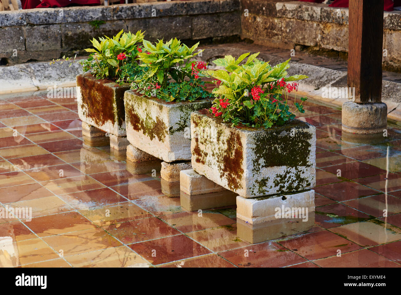 Saint Emilion, Gironde, Aquitania, in Francia, in Europa Foto Stock