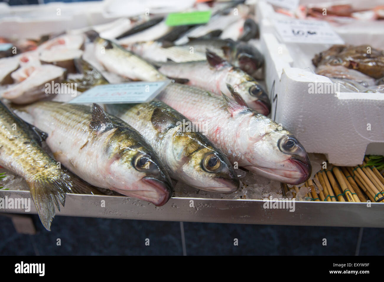 Alcuni pesci esposti al mercato del pesce Foto Stock