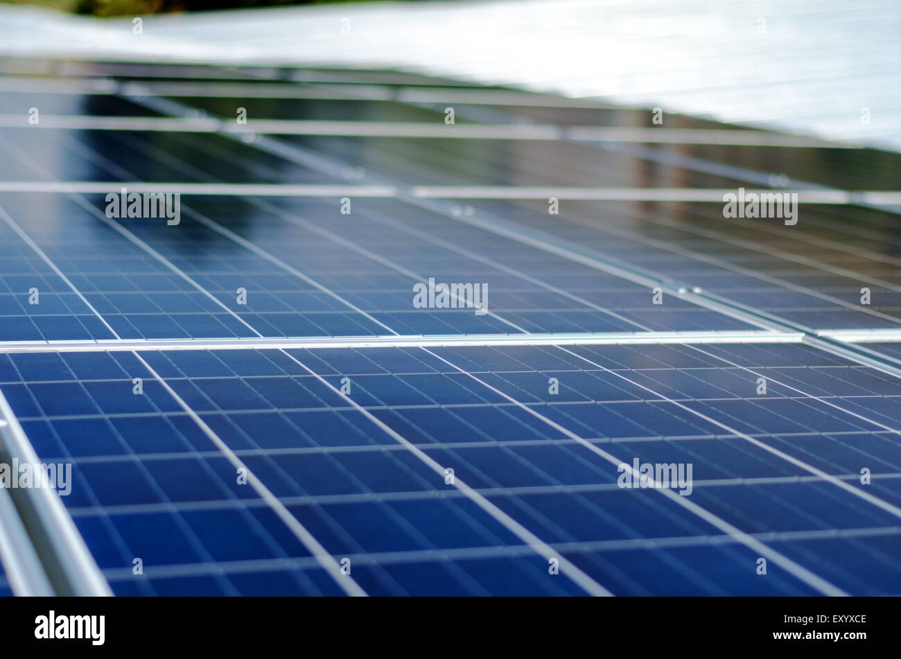 Dettaglio di un pannello fotovoltaico per le fonti di produzione elettrica Foto Stock