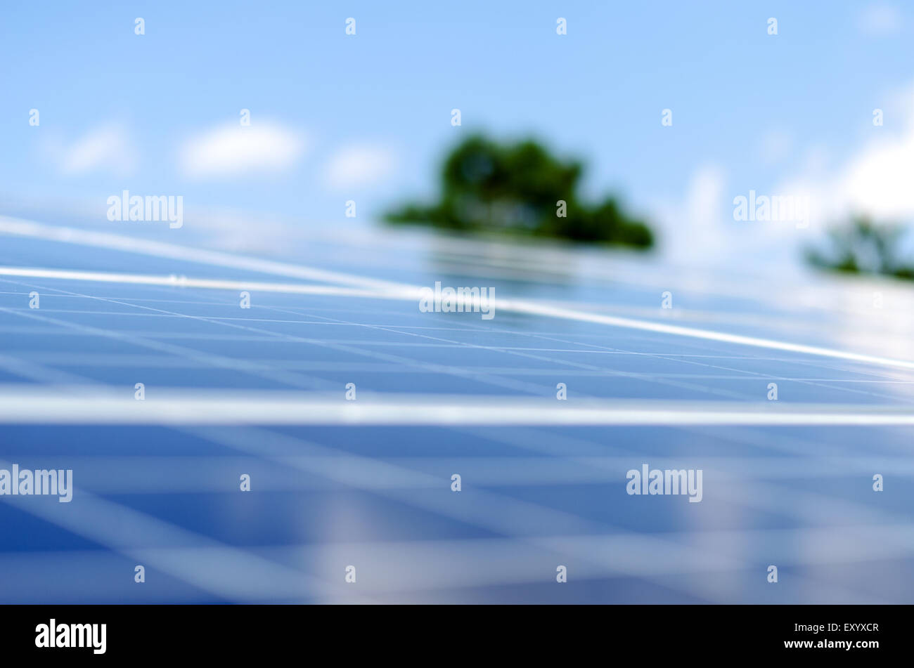 Dettaglio di un pannello fotovoltaico per le fonti di produzione elettrica Foto Stock