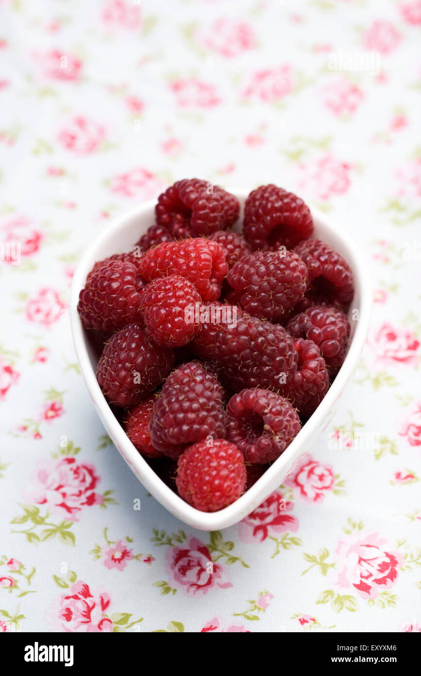 Rubus idaeus 'autunno Bliss". Appena raccolto i frutti a bacca rossa in una ciotola panno floreali. Foto Stock