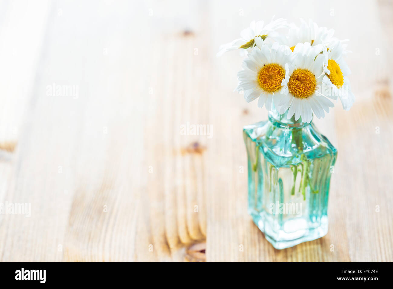 Mazzi di fiori di camomilla in un bicchiere piccolo bottiglie colorate Foto Stock