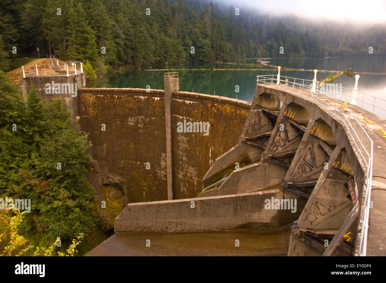 Lake Mills con Glines Canyon Dam, il Parco Nazionale di Olympic, Washington Foto Stock