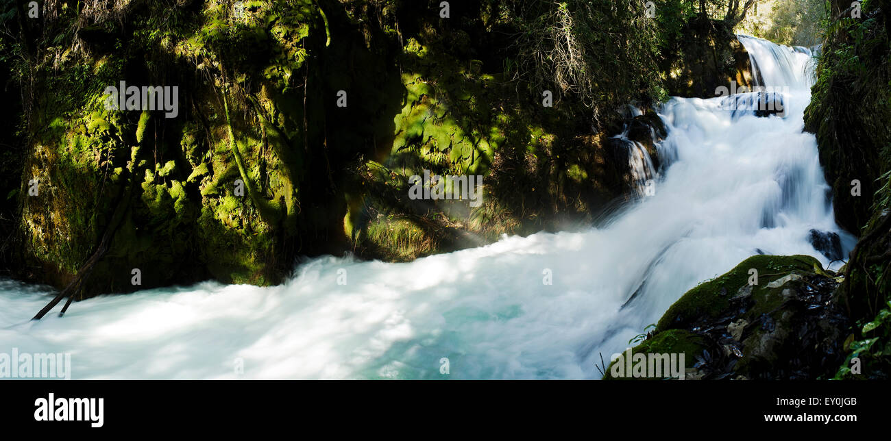 Terawera falls, Nuova Zelanda; Rotorua Foto Stock