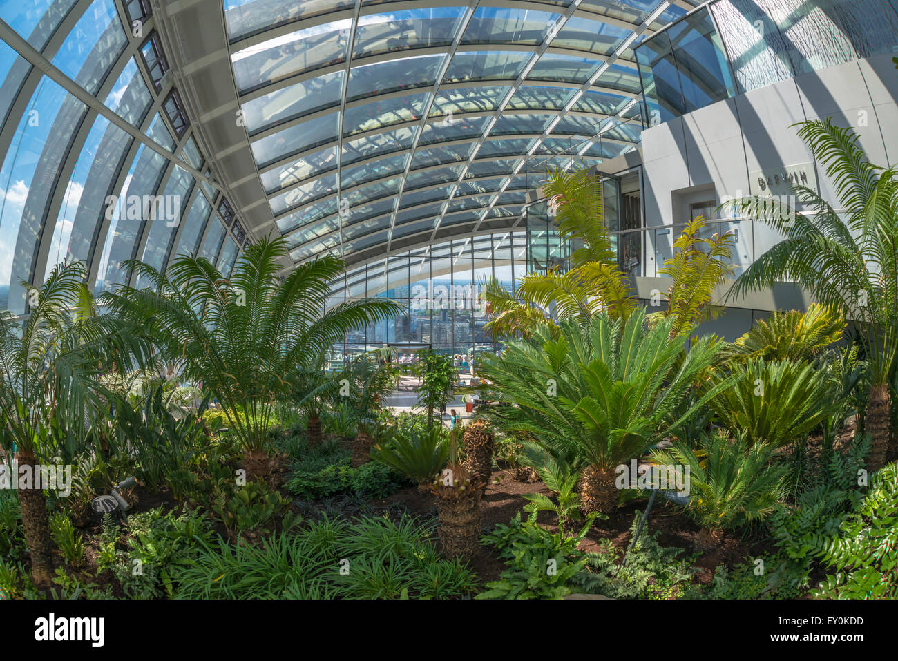 La sky garden di walkie talkie edificio, london, Regno Unito Foto Stock