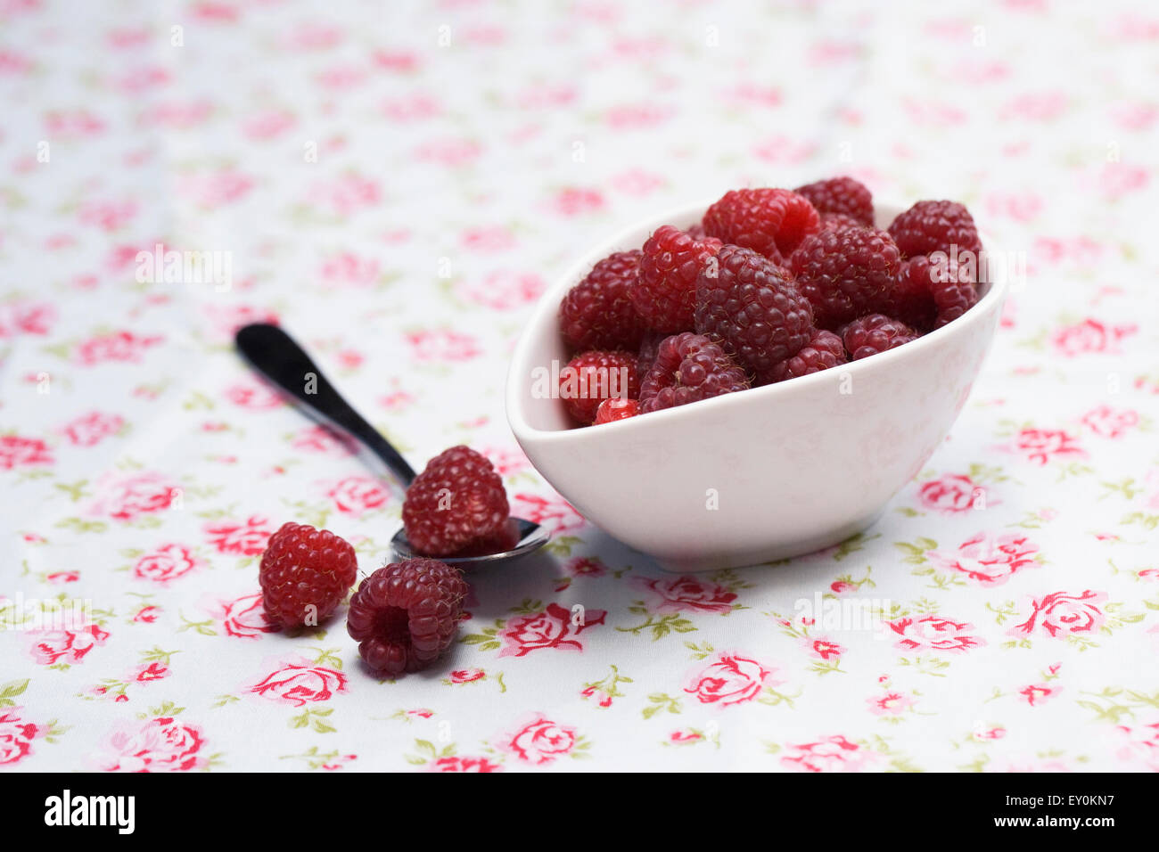 Rubus idaeus 'autunno Bliss". Appena raccolto i frutti a bacca rossa in un recipiente su un panno floreali. Foto Stock