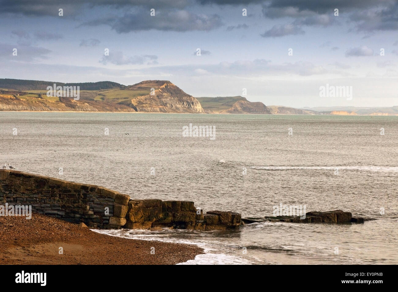 Guardando ad est verso la Golden Cap scogliere di Lyme Regis, Dorset, England, Regno Unito Foto Stock