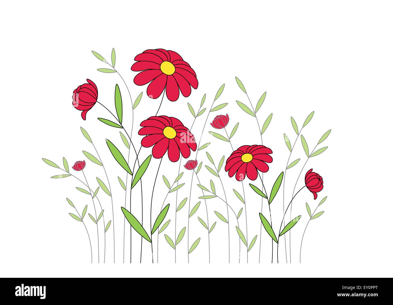 Rosso fiori morbido Illustrazione Vettoriale