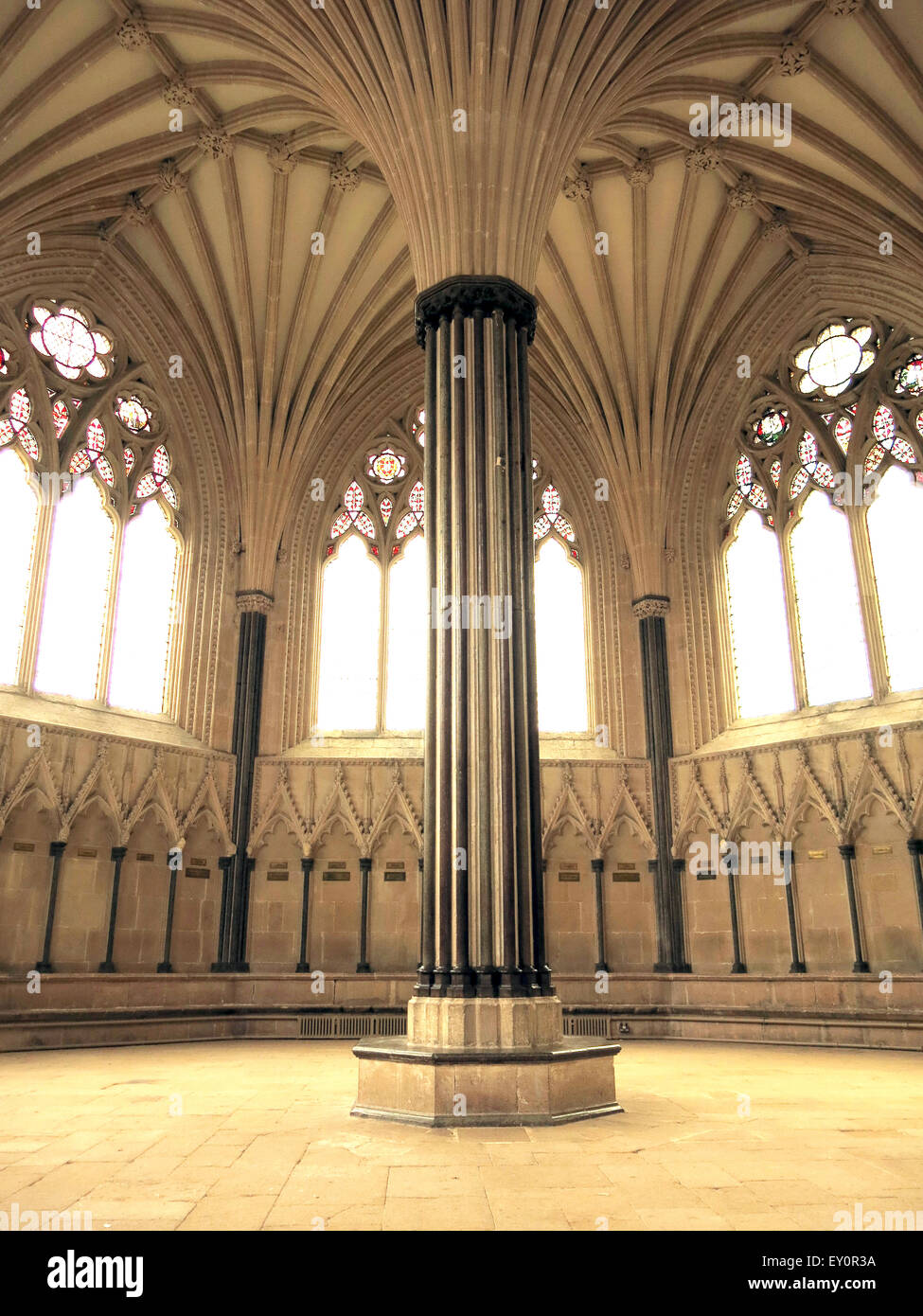 La ventola decorativo soffitto a volta della casa del Capitolo nella Cattedrale di Wells, Somerset, Inghilterra, Regno Unito Foto Stock