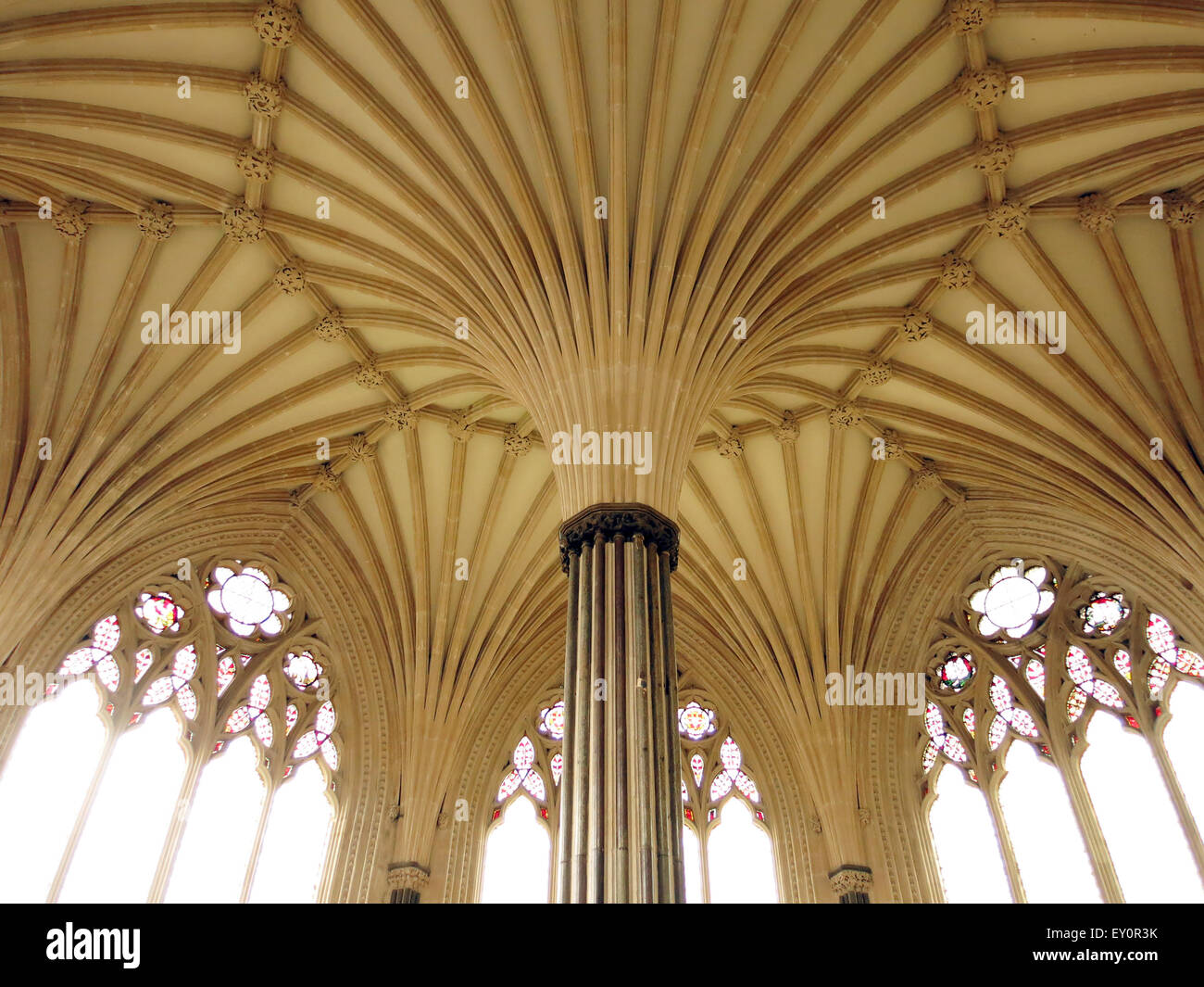 La ventola decorativo soffitto a volta della casa del Capitolo nella Cattedrale di Wells, Somerset, Inghilterra, Regno Unito Foto Stock