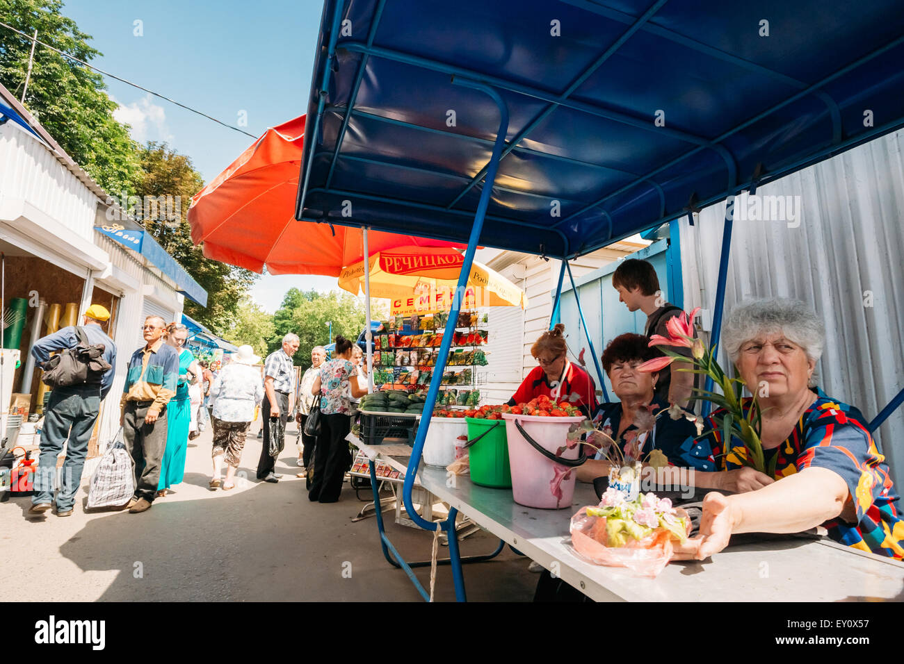 GOMEL, Bielorussia - Giugno 10, 2014: una donna non identificato vende i semi di ortaggi, fragole e fiori nel mercato locale Foto Stock