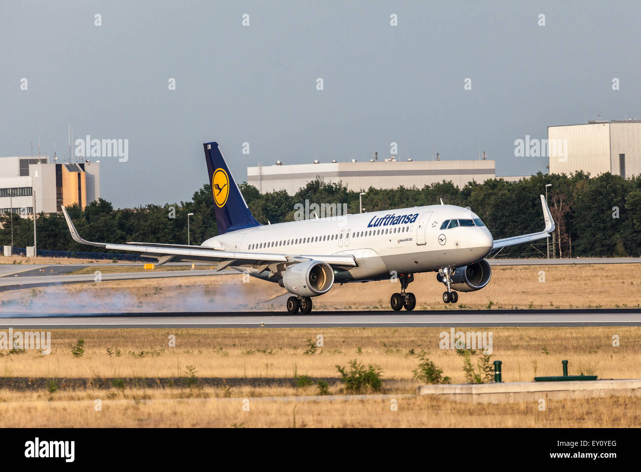 Lufthansa Airbus A320-200 di atterraggio degli aeromobili presso l'Aeroporto Internazionale di Francoforte. Foto Stock