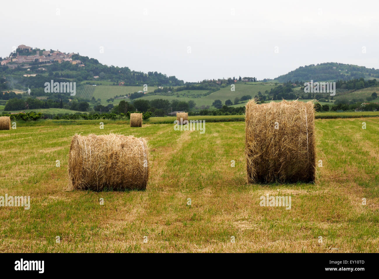 Laminati di balle di fieno in un campo con dolci colline in background. Foto Stock