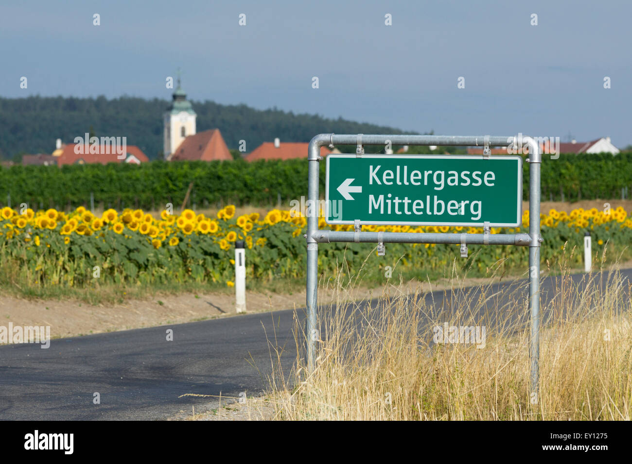 Un segno per Mittelberg's Kellergasse - una strada di cantine Foto Stock