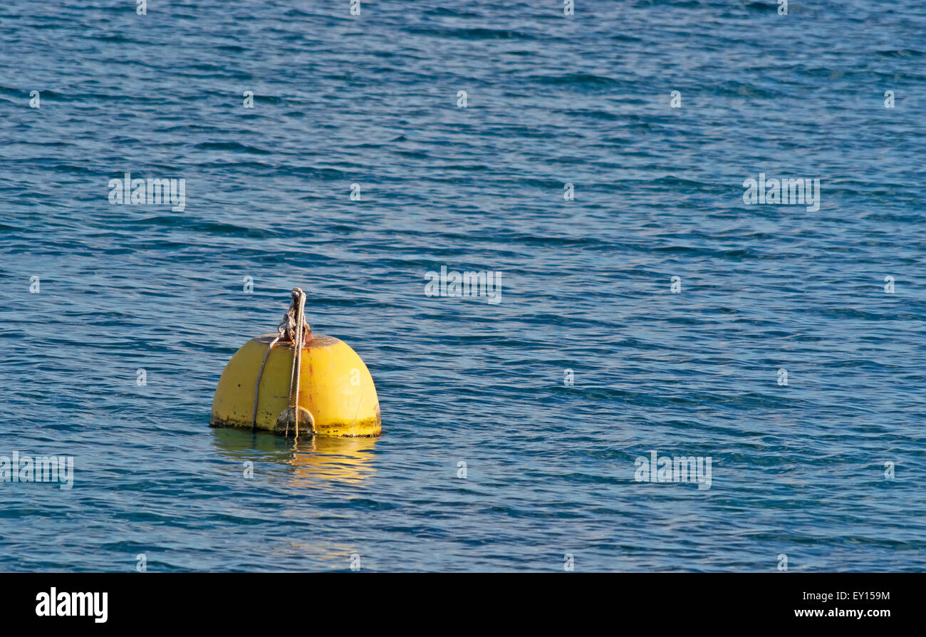 Giallo boa galleggianti in mare Foto stock - Alamy