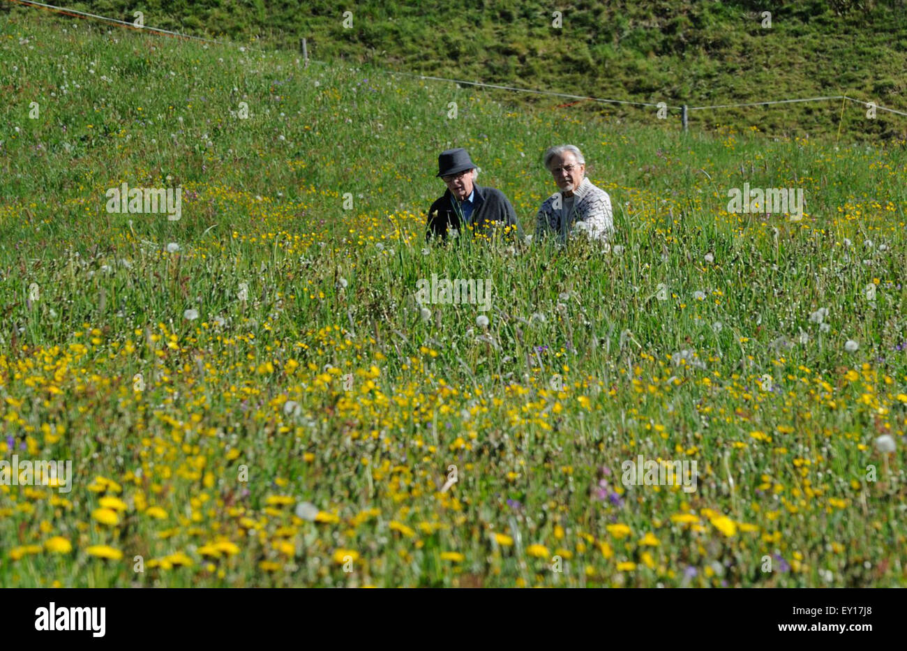 La gioventù (Italiano: La giovinezza è una 2015 Italian film scritto e diretto da Paolo Sorrentino. Interpretato da Michael Caine, è il direttore del secondo film in lingua inglese. Questa fotografia è per il solo uso editoriale ed è il copyright del film company e/o il fotografo assegnato dal film o società di produzione e può essere riprodotto solo da pubblicazioni in congiunzione con la promozione del film di cui sopra. Un credito per il film company è richiesto. Il fotografo deve anche essere accreditato quando noto. Foto Stock
