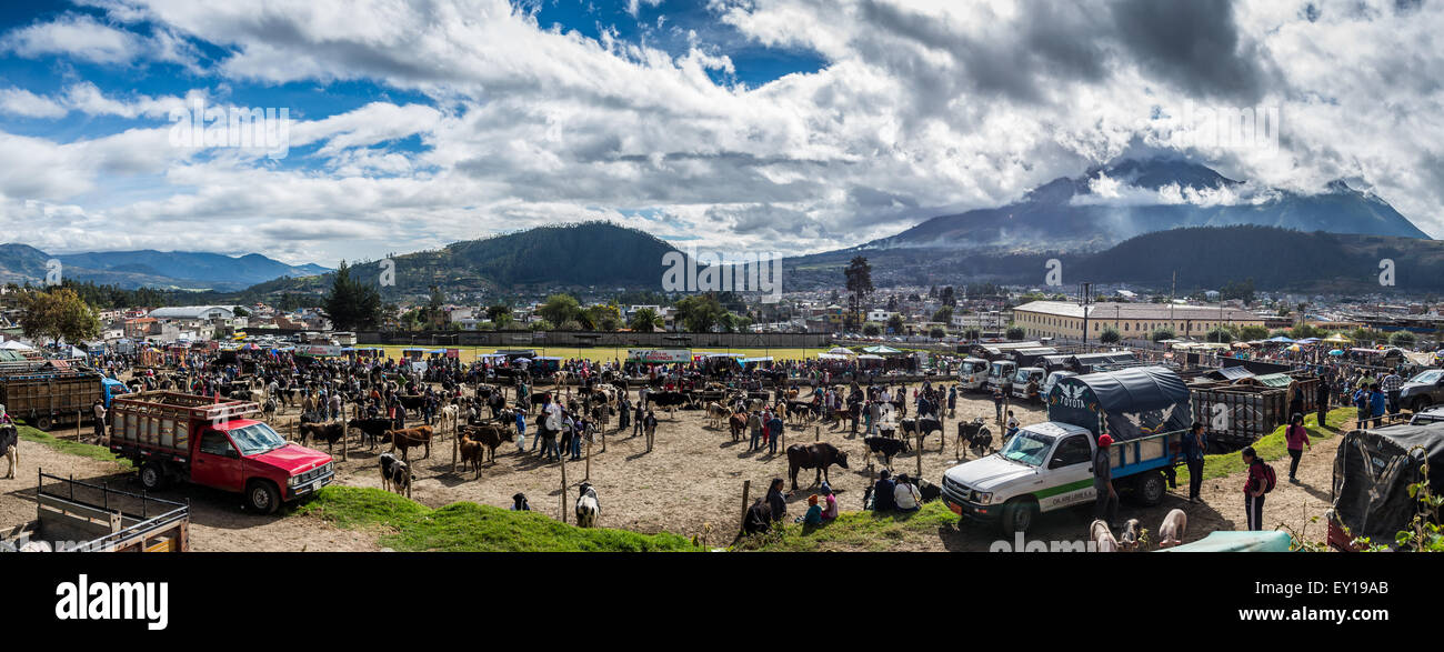 Vista panoramica del tradizionale mercato del bestiame. Otavalo, Ecuador. Foto Stock