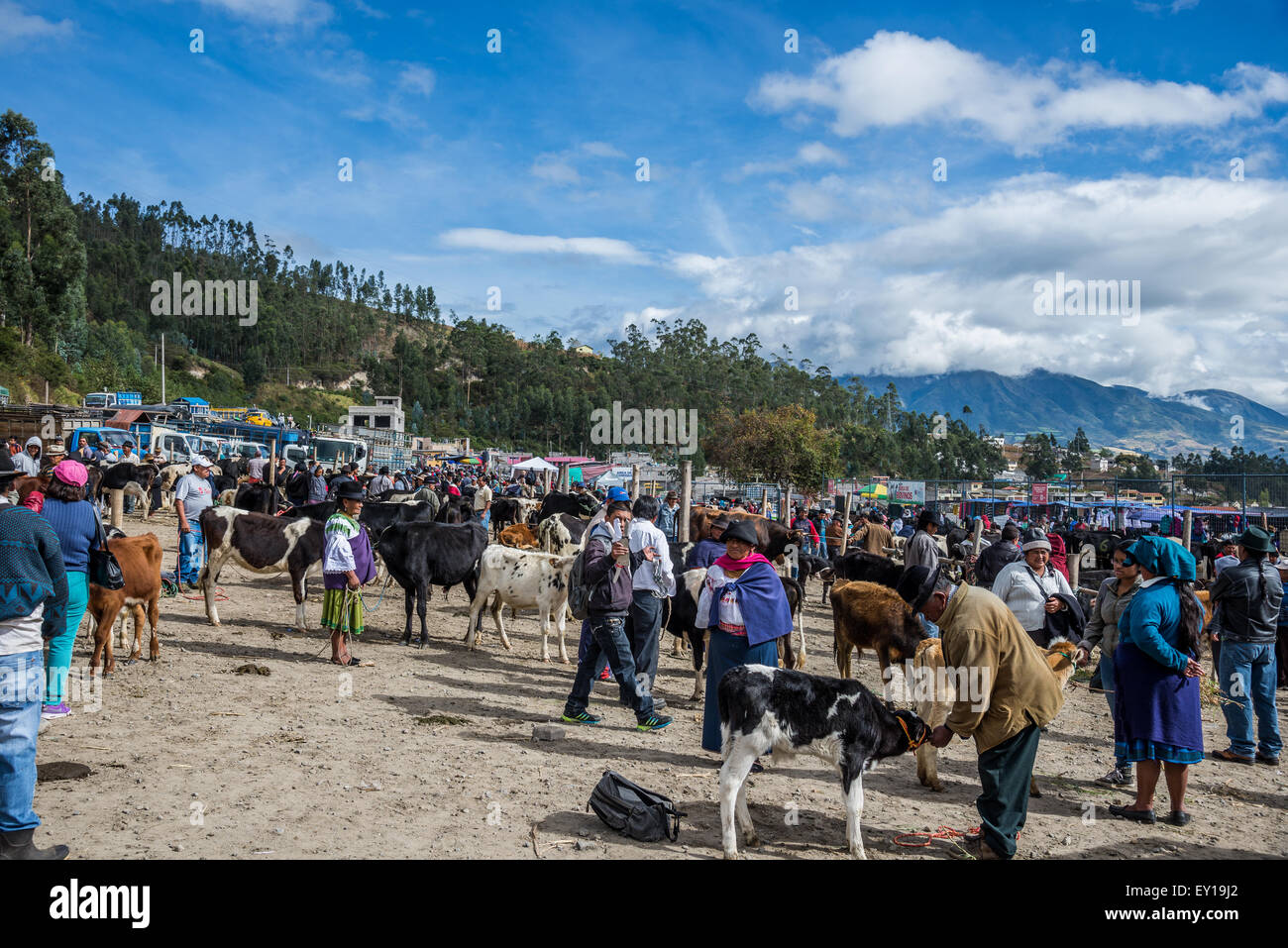 La folla presso il tradizionale mercato del bestiame di sabato. Otavalo, Ecuador. Foto Stock