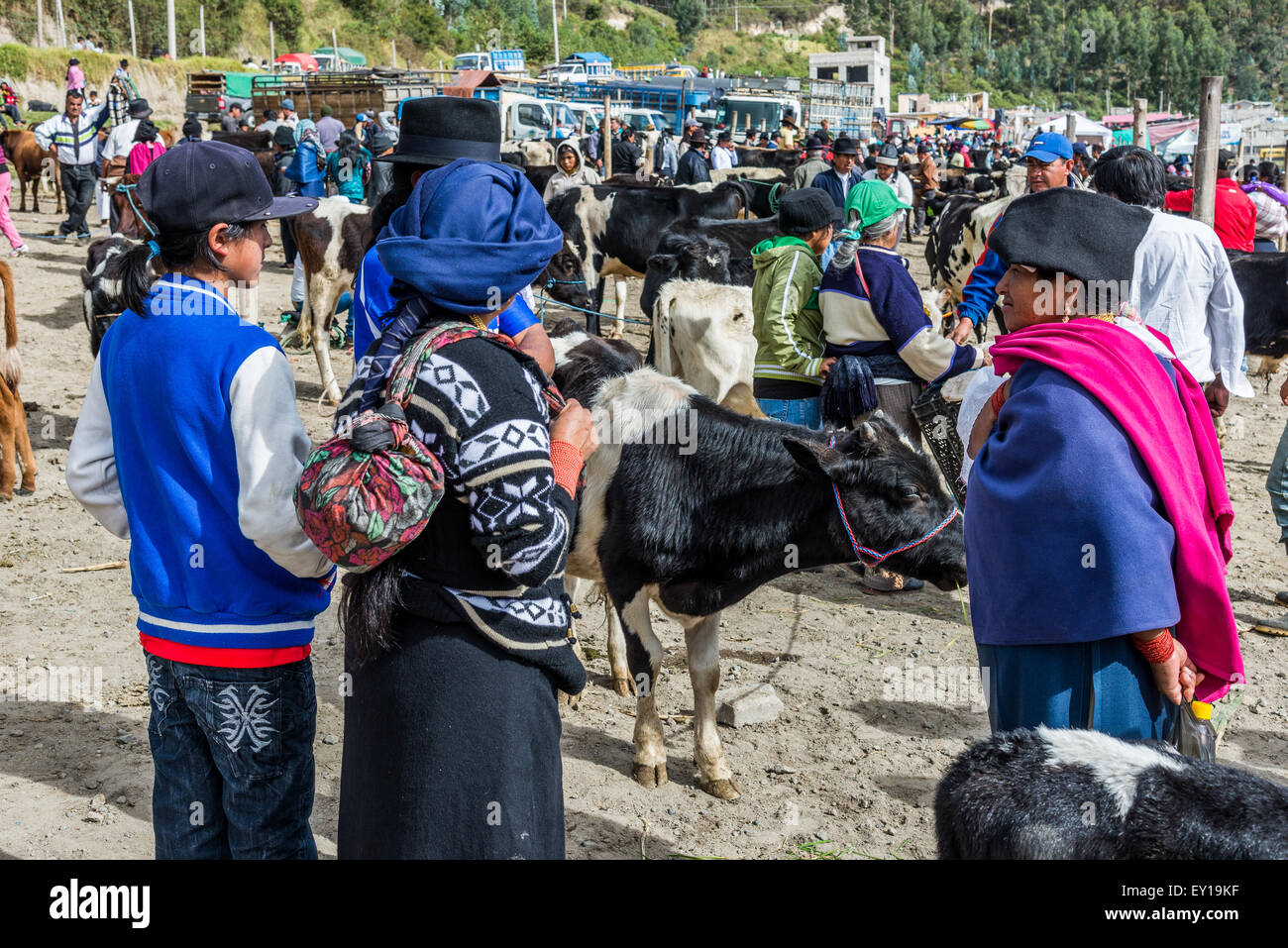La popolazione locale si riuniranno presso il mercato del bestiame. Otavalo, Ecuador. Foto Stock