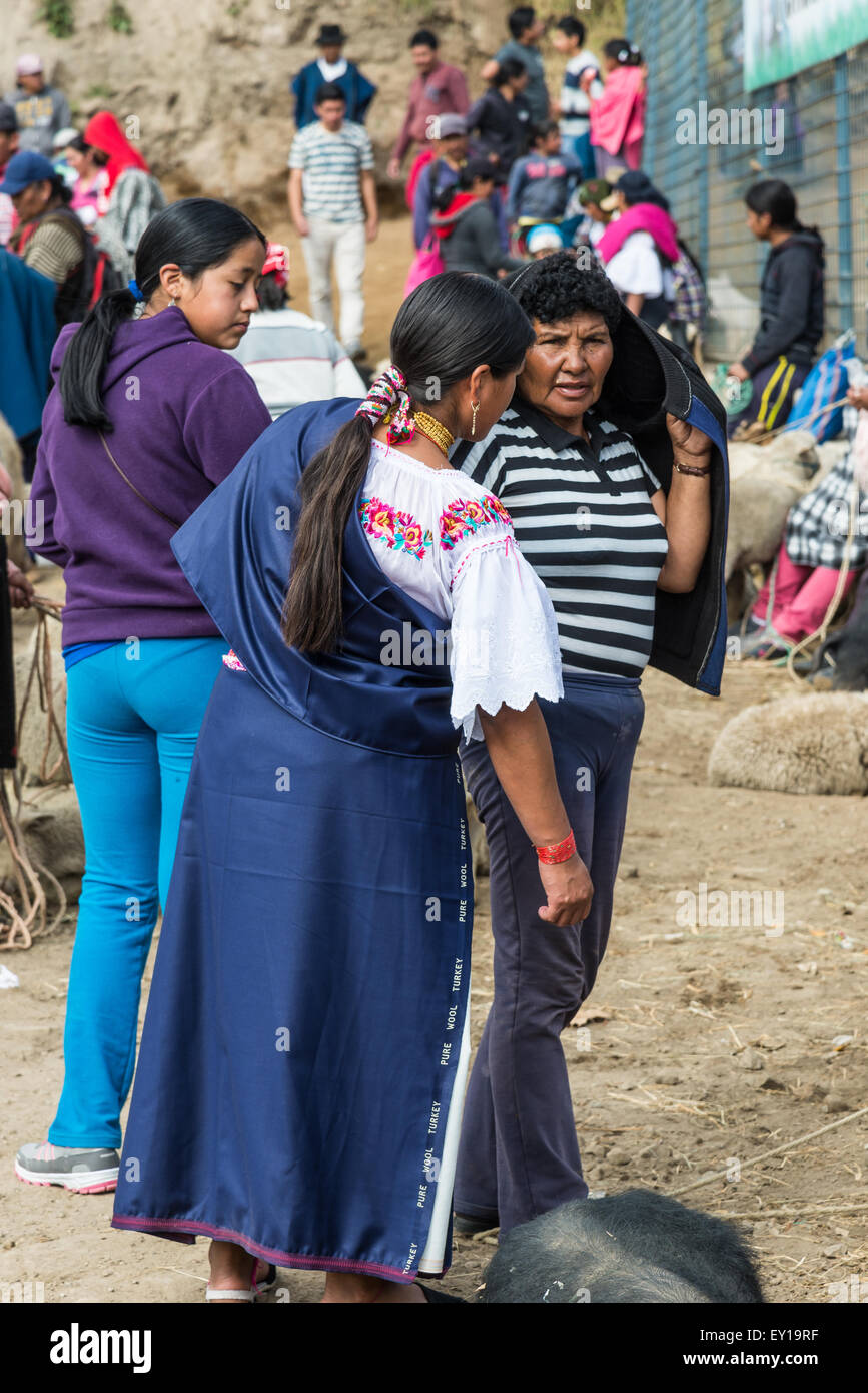La negoziazione delle donne al mercato del bestiame. Otavalo, Ecuador. Foto Stock
