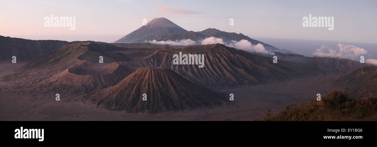 Alba sul Monte Bromo (2329 m) e del Tengger Caldera in Java Orientale, Indonesia. Panorama dal Monte Penanjakan (2.770 m.). Mo Foto Stock