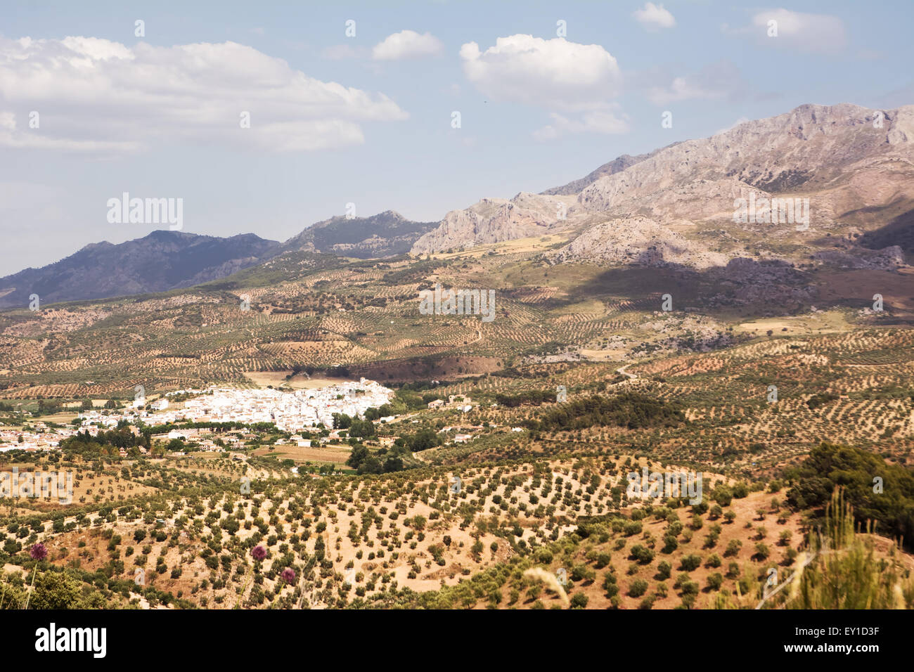 Tipico villaggio andaluso (pueblo blanco) al piede della montagna Foto Stock