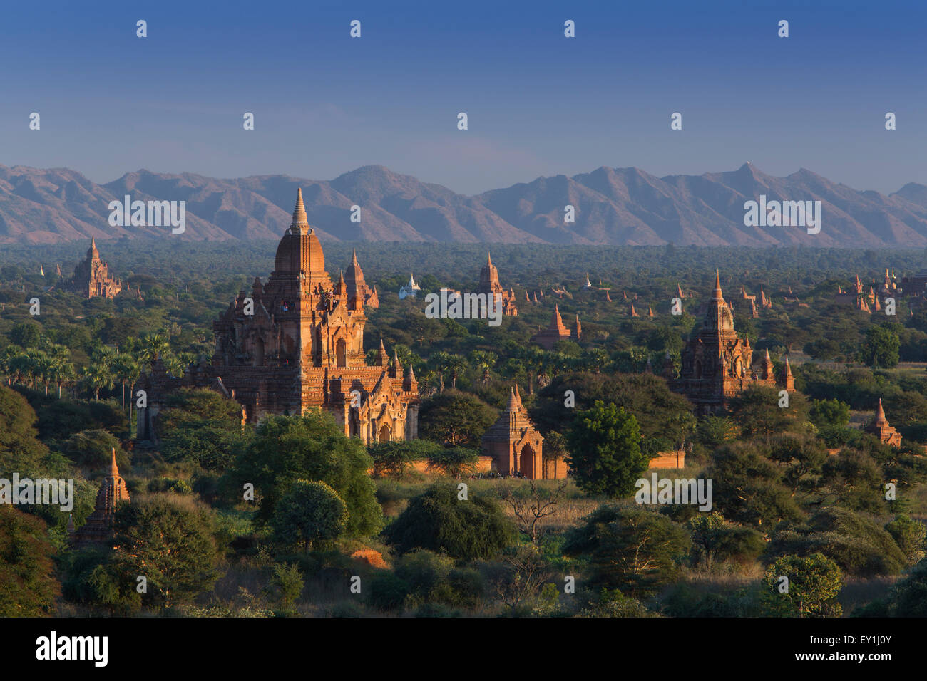Bagan paesaggio al tramonto, Myanmar Foto Stock