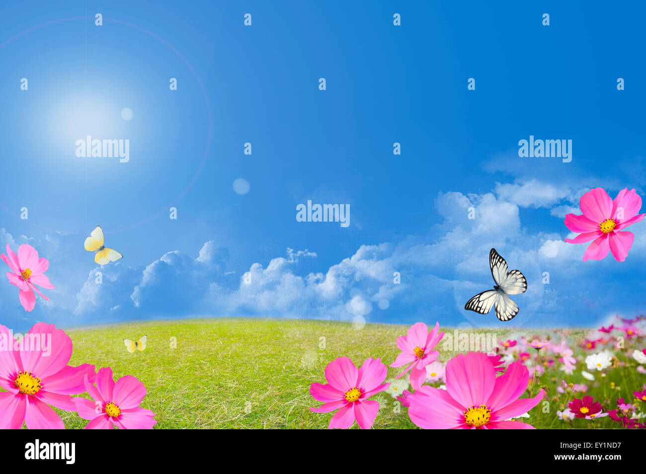 Composito Digitale, paesaggio, Foto Stock