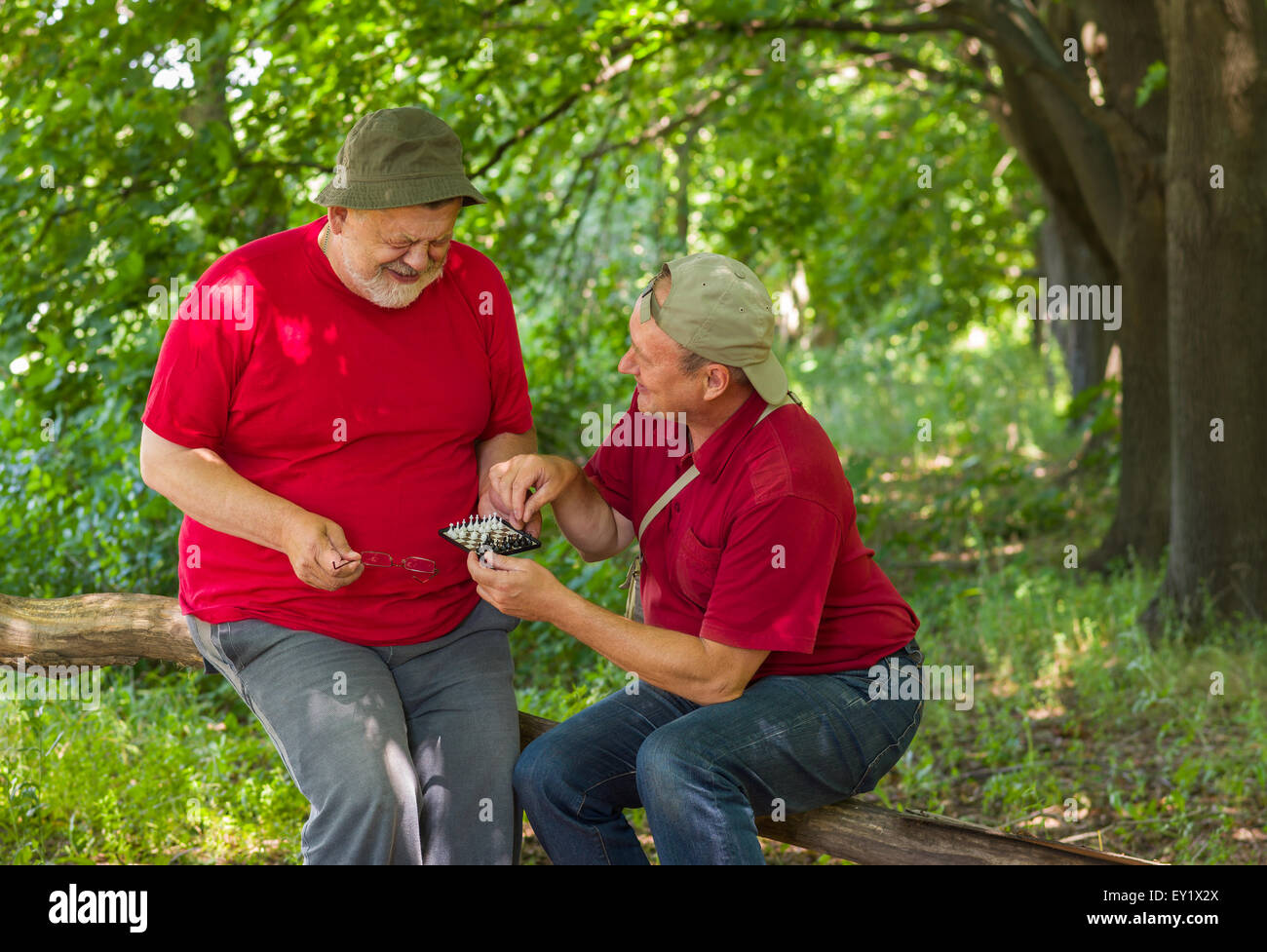 Due vecchi amici giocare mini-gioco degli scacchi in un parco estivo Foto Stock