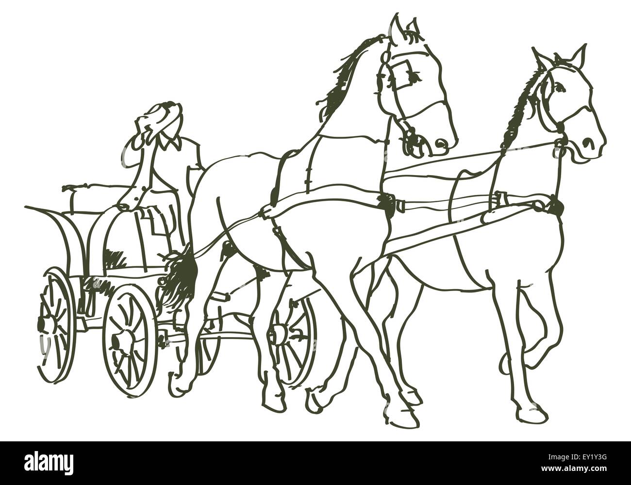 Disegnata a mano cavalli - illustrazione vettoriale Illustrazione Vettoriale