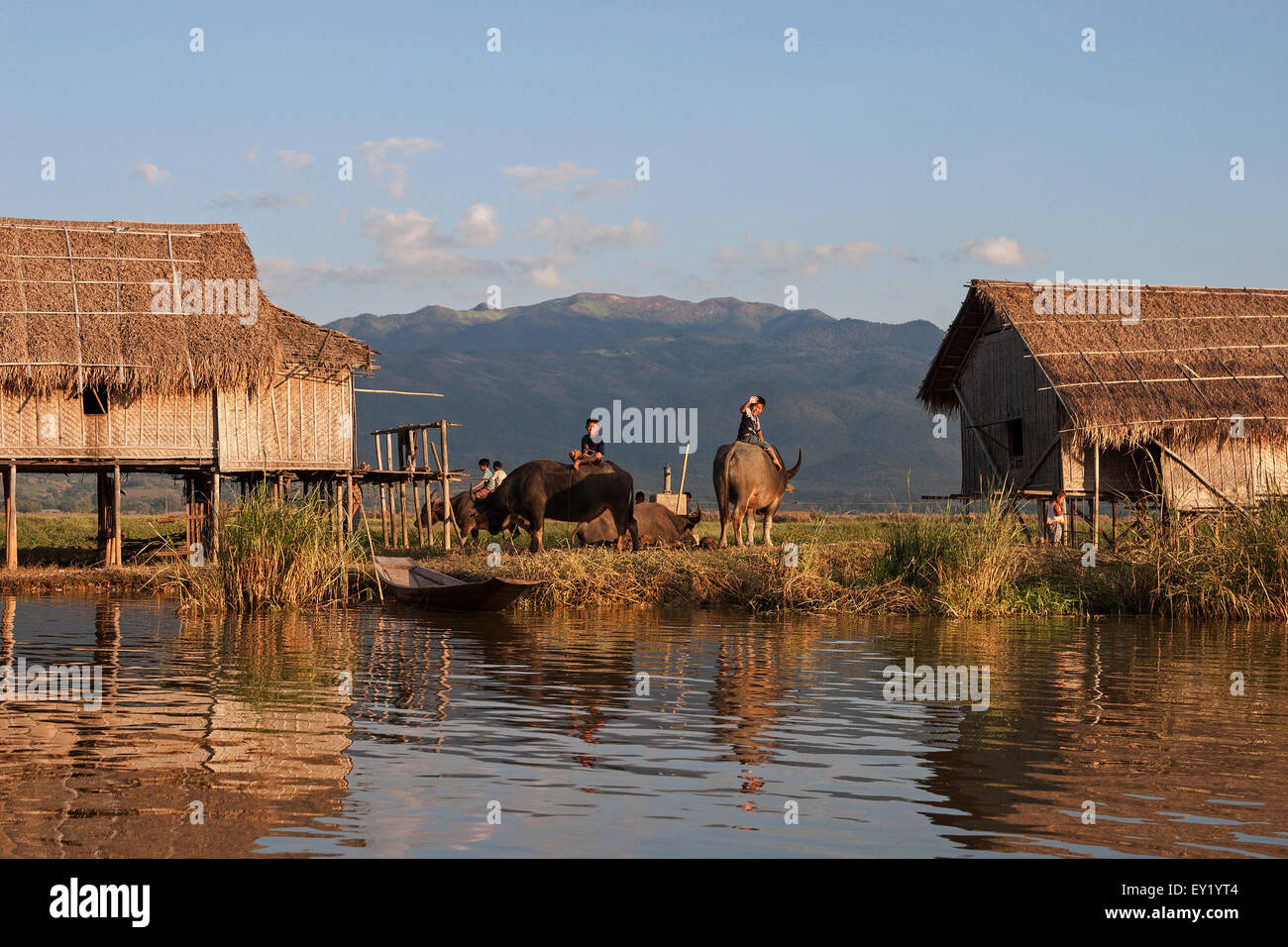 Tradizionali di palafitte sul Lago Inle, bambini locali seduti su bufali d'acqua e agitando, luce della sera, Stato Shan, Myanmar Foto Stock