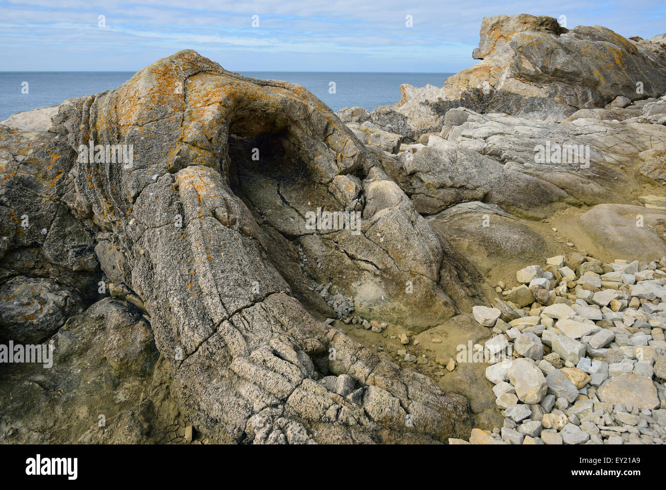 Foresta fossile nelle vicinanze Lulworth Cove rimane pietrificato di un 140 milion anno vecchi ceppi di alberi Foto Stock