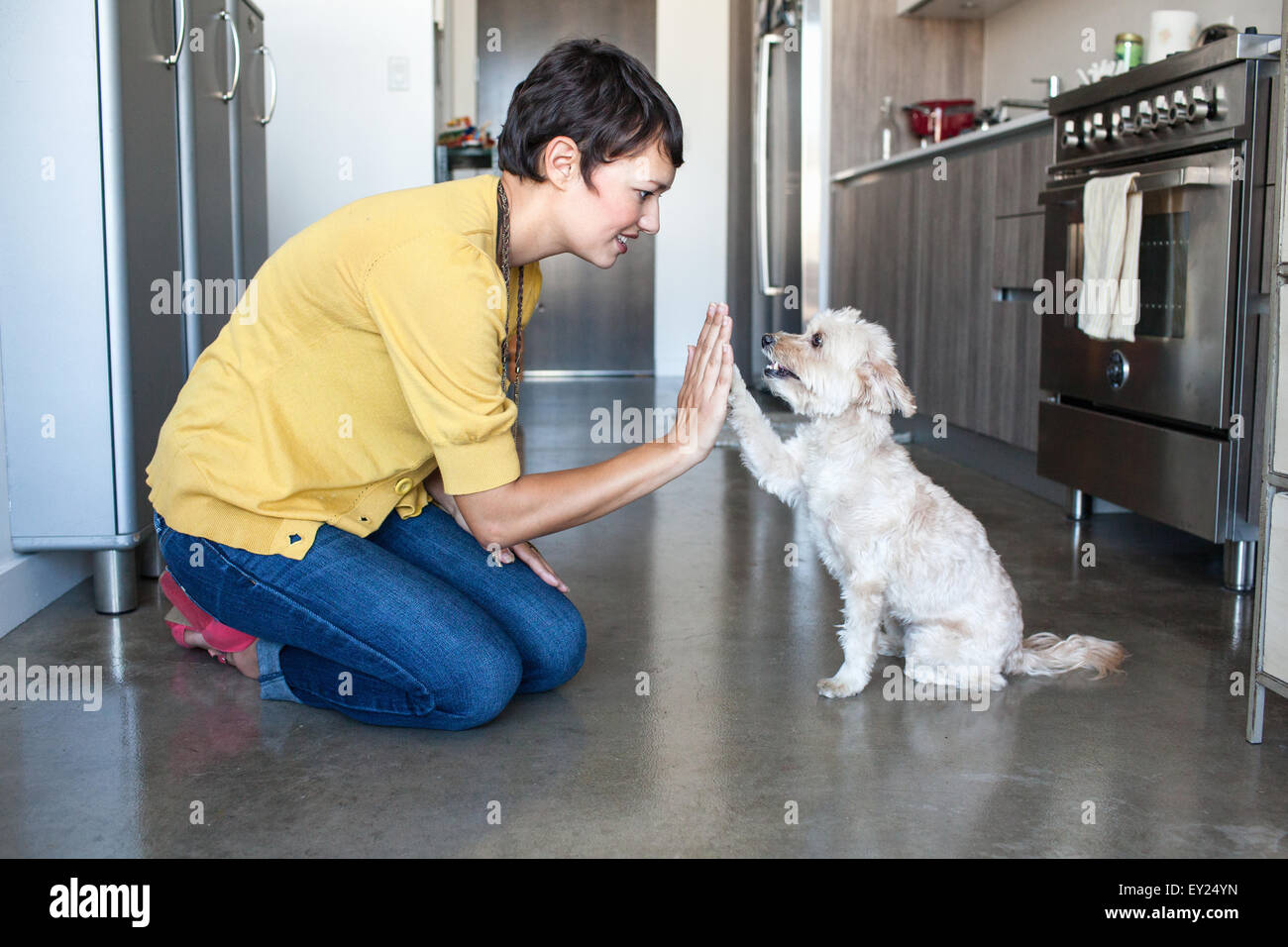 Giovane donna dando cane un alta cinque in cucina Foto Stock