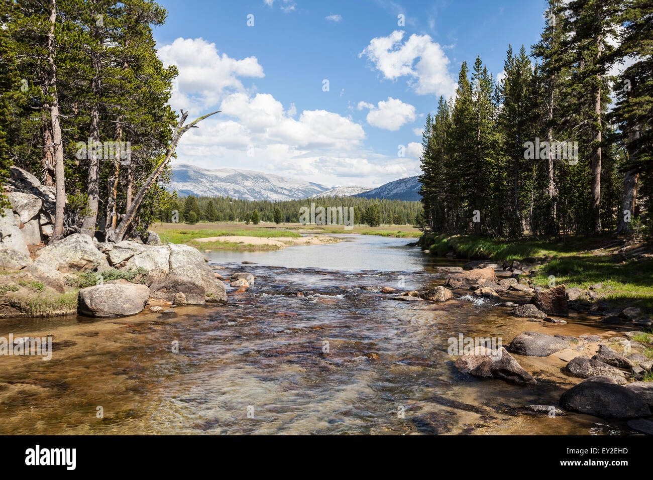 Fiume Toulumne e prato in California del popolare Parco Nazionale di Yosemite. Foto Stock