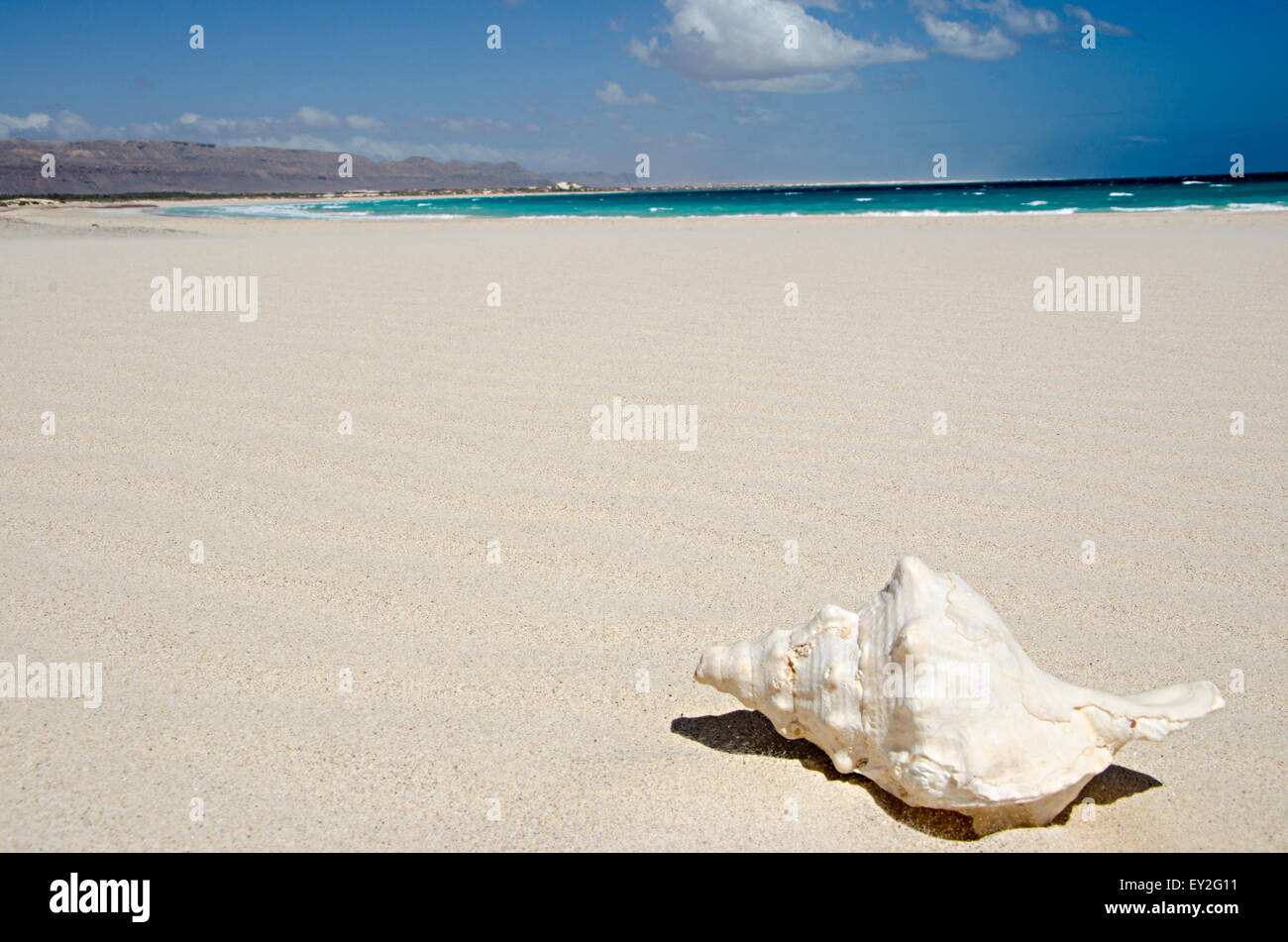 Aomak Beach nel lato sud della isola di Socotra nello Yemen, Oceano Indiano Foto Stock
